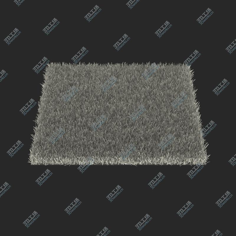 images/goods_img/2021040165/Zoysia Grass/4.jpg